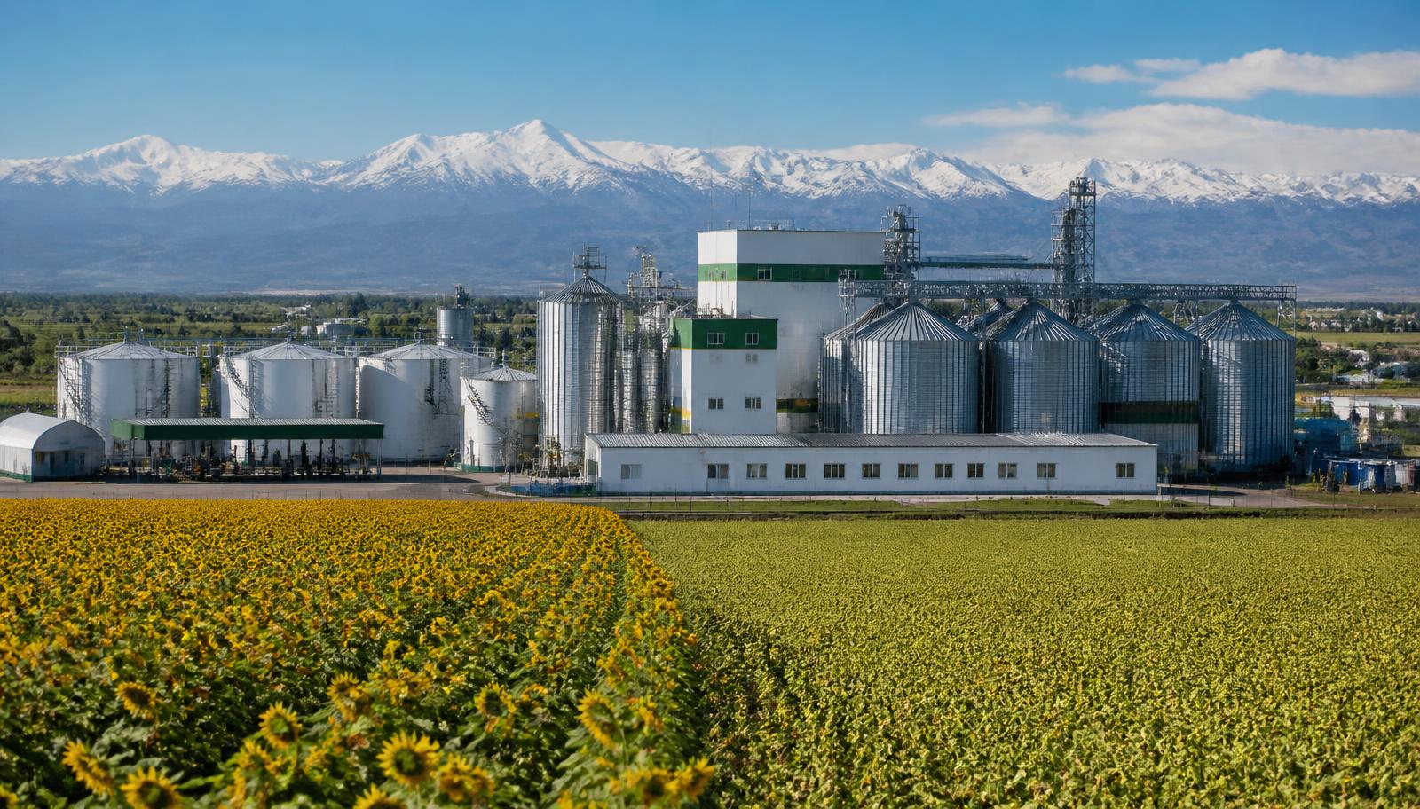 Oil Processing Plant — PCD Group